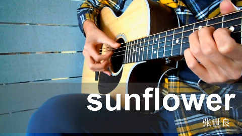 《sunflower》吉他曲 张世良